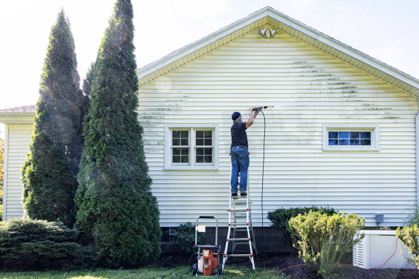 Best Sign and Awning Cleaning  in Camanche, IA